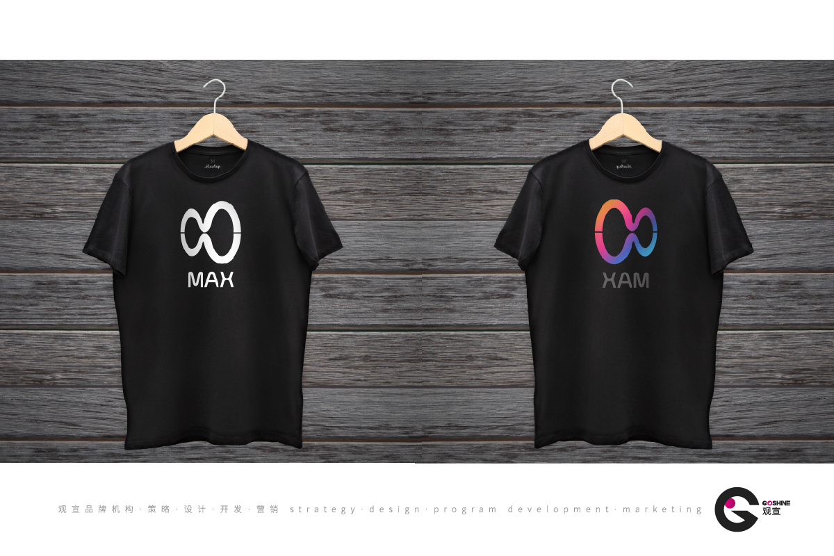 MAX(图8)